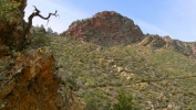 PICTURES/Barnhardt Trail/t_Escarpment2.JPG